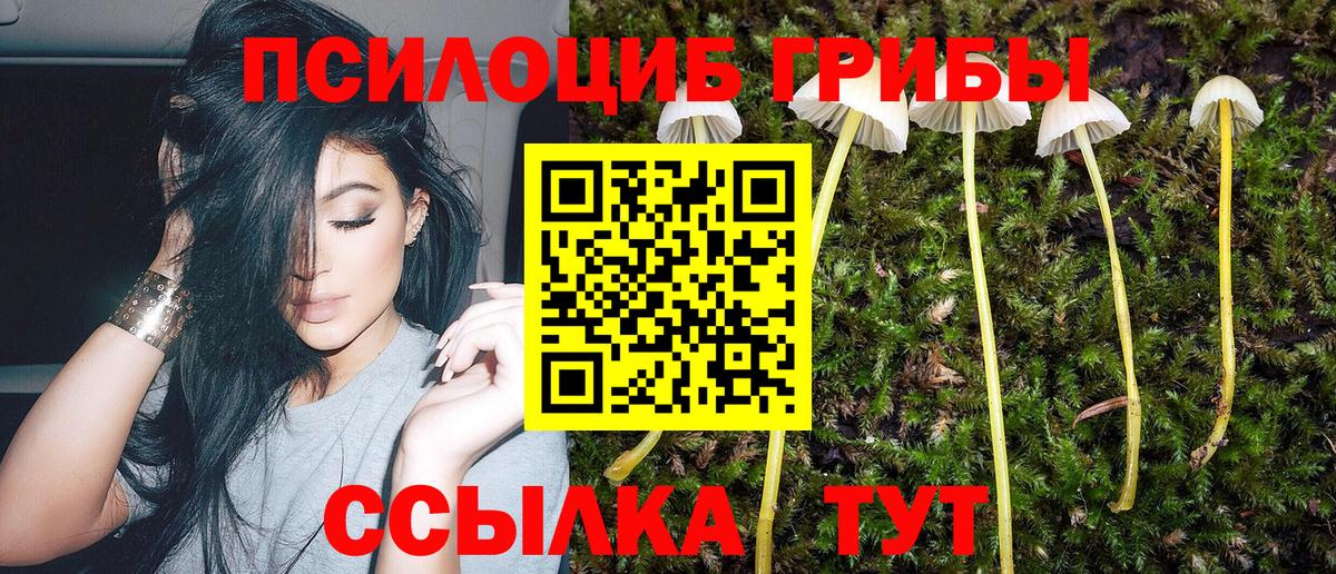 Галлюциногенные грибы Psilocybine cubensis  Вход с VPN  Ижевск 